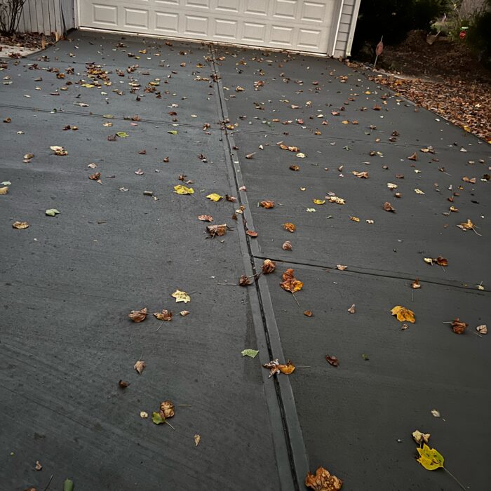 19725828_dlargesquare